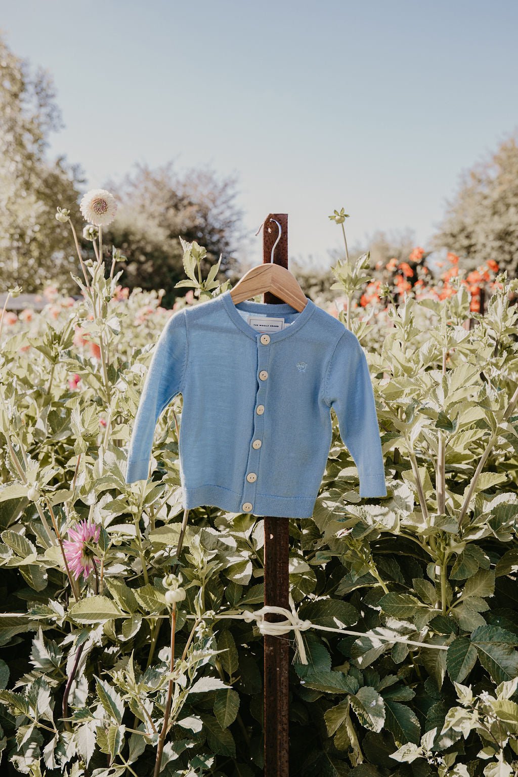 Australian Blue Essential Merino Wool Baby Cardigan The Woolly Brand